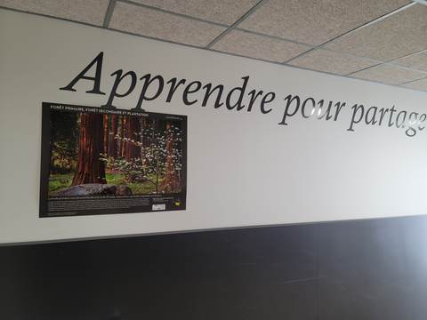 Les couloirs, vue 2